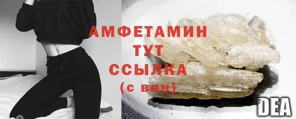 стаф Бородино