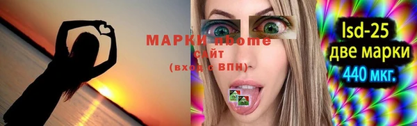 стаф Бородино