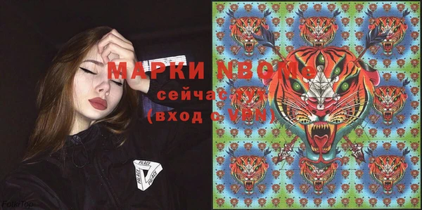 стаф Бородино