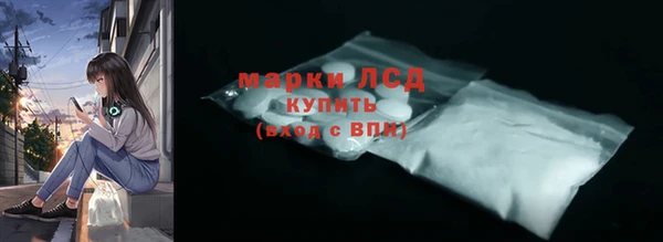 стаф Бородино