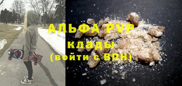 стаф Бородино