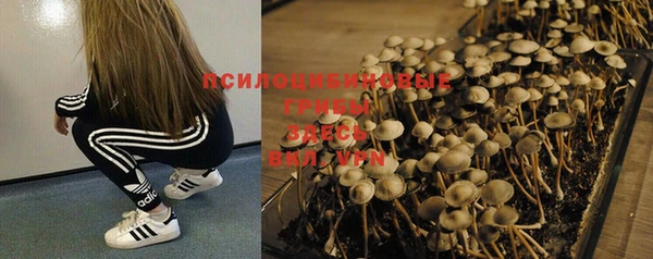 МДПВ Бугульма