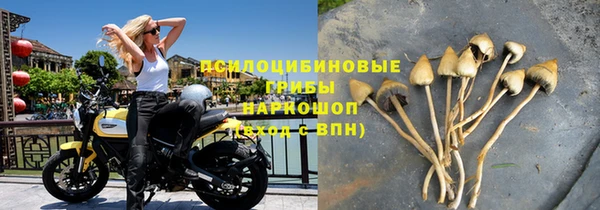 МДПВ Бугульма