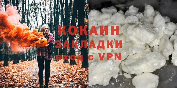 стаф Бородино