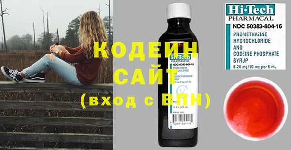 стаф Бородино