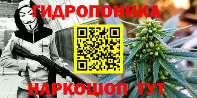 таблы Гатчина