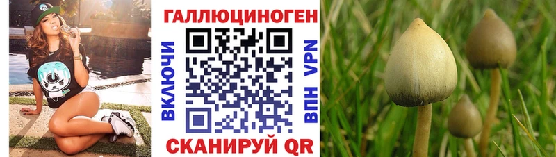 Псилоцибиновые грибы мицелий Корсаков