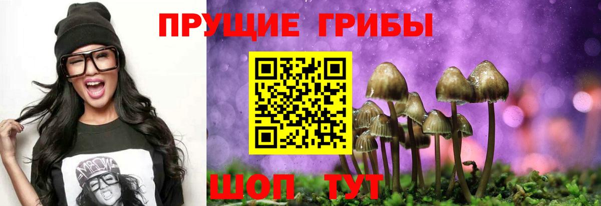 Корсаков  Псилоцибиновые грибы GOLDEN TEACHER  Вход с VPN 